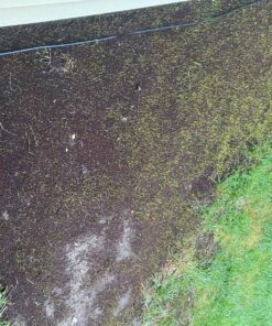 Scotts EZ Seed Patch & Repair Sun and Shade Mulch, Grass Seed, Fertilizer Combination for Bare Spots and Repair, 4 lb 3.75 lb. 1 Pack 42 91VnG2WXGZL