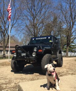 Leashboss Short Dog Leash for Dog Training | Padded Traffic Handle Short Leash for Dog Training, Total Comfort when Dog Walking | Traffic Leash for Dogs Large, Medium, Small | Short Nylon Dog Lead 12 Inch Black 45 91Vx MKK7pL