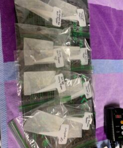 BN-LINK Durable Seedling Heat Mat Heating Pad 10" x 20.75" with Digital Thermostat Controller Combo Set Waterproof for Indoor Seed Starting and Plant Germination 10" x 20.75" & Thermostat 35 91VxLKjzQ L 1