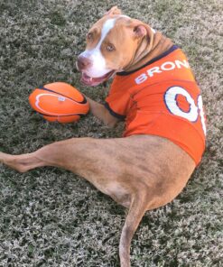 NFL Denver Broncos Dog Jersey, Size: X-Large. Best Football Jersey Costume for Dogs & Cats. Licensed Jersey Shirt 35 91W06DRyDRL