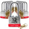 Lion Locks 12 Keyed-Alike Padlocks w/ 2” Long Shackle, 24 Keys, Hardened Steel Case, Pick Resistant Brass Pin Cylinder (12-Pack) for Hasp Latch, Shed, Fence, Gate Chain, Cable, Locker Lock, Gym Door 12PACK Long Shackle 5 91WGScX8BL