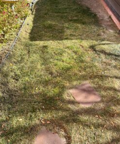 Worx String Trimmer Cordless & Edger 20V 10" - 12" Weed Trimmer PowerShare (Battery & Charger Included) WG154 39 91WTqK P21L