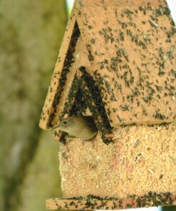 Handmade Edible Birdhouse- Tall Dark- Unique Reseedable Bird Feeder Wooden Birdhouse Covered w/Birdseed- Made in The USA Dark Roof 24 91WUDLah4L