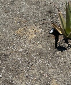 ZUCKEO Low Voltage Landscape Lights LED Landscape Lighting, 5W 12V Garden Pathway Lights Waterproof Warm White Walls Trees Flags Outdoor Landscape Spotlights with Stakes (8 Pack) 63 91WUMIfo54L