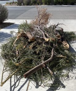 Sun Joe SWJ800E 8-Inch 6.5-Amp Telescoping Electric Pole Chain Saw with Automatic Chain Lubrication System Pole Saw 8-Inch Bar/Chain 8.7' Max. Extension 46 91WgyTUXWfL