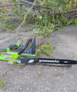 Greenworks 40V 16" Brushless Cordless Chainsaw (Great For Tree Felling, Limbing, Pruning, and Firewood / 75+ Compatible Tools), 4.0Ah Battery and Charger Included 16" (4.0Ah) Gen 1 48 91Wm8HxKTXL
