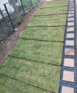 TRUEGRID | Deco Permeable Pavers | Designed as Driveway Pavers, Garden Pavers, Stepping Stone Support, for Walkways, Patios, Poolside, DIY | Outdoor Pavers | 1.8" Depth | Pack of 10 (40 Square Feet) 30 91WoO3KEsWL