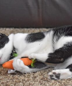 OurPets 100-Percent North American Catnip Filled Carrot Cat Toy 24 Karat OurPets 100-Percent Premium North- American Grown Cosmic Catnip Cat Toy 36 91Wyj3bpw3L