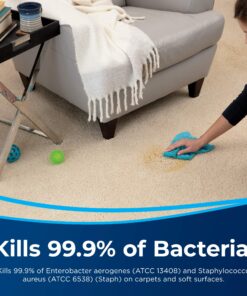 BISSELL Pet Pretreat + Sanitize Stain & Odor Remover, 1129 22 Fl Oz (Pack of 1) 14 91X79TtEKOL