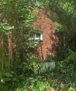 Mini Chainsaw 6-Inch Battery Powered - Cordless Electric Handheld Chainsaw with 2 Rechargeable Batteries - 21V Small Power Chain Saws Battery Operated for Tree Trimming Wood Cutting 36 91XEEOtoJtL