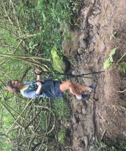 Cascade Mountain Tech Trekking Poles - Carbon Fiber Walking or Hiking Sticks with Quick Adjustable Locks Green 62 91XQZXPBmqL