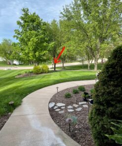 Z-wave Plus Rare Earth Magnets Door & Window Sensor, White & Brown (DWZWAVE2.5-ECO) 33 91XSQbfgjRL 2