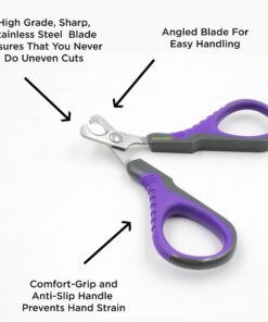 Hertzko Professional Pet Nail Scissors Sharp Stainless Steel Angled Blade for Easy Cutting - Suitable for Small Breed Animals - Dogs, Cats, Rabbits and Birds 13 91XUcRVVUEL
