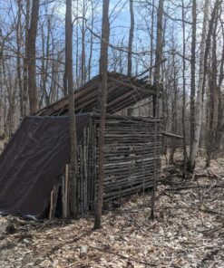 Schrade SCAXE2L 15.7in Large Survival Axe with 4.2in Stainless Steel Blade and Glass Fiber PA and TPR Rubber Handle for Outdoor Survival Camping and Everyday Tasks Standard Packaging 41 91XUoQdoneL