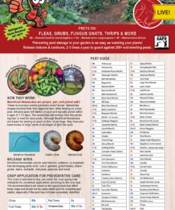 Alternative view of NaturesGoodGuys Beneficial Nematodes Hb+Sc+Sf - 30 Million