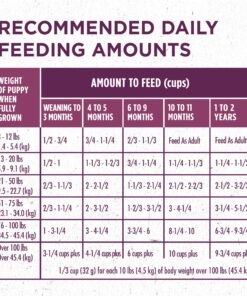 Purina ONE Plus Healthy Puppy Formula High Protein Natural Dry Puppy Food with added vitamins, minerals and nutrients - 8 lb. Bag Dry Food Chicken 8.00 Pound (Pack of 1) 26 91Xfeh9xXuL