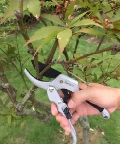 gonicc 8" Professional SK-5 Steel Blade Sharp Anvil Pruning Shears (GPPS-1001),Less effort. Pruning Scissors, Bonsai Cutters 28 91Xgd1fC81L