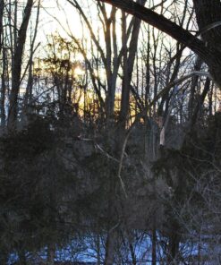 Nikon AF-S FX NIKKOR 50mm f/1.4G Lens with Auto Focus for Nikon DSLR Cameras Lens Only 42 91Xke3ABc6L