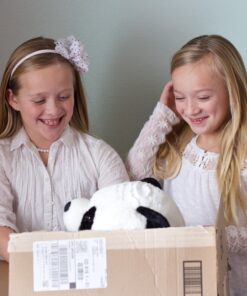 Mother and Baby Panda Plush Set | Super Soft Panda Stuffed Animal | Cute Plushies for Kids' Bedroom | 18-in Stuffed Animals for Girls & Boys | Panda Bear Stuffed Animal Toys by Exceptional Home 23 91XmLW6BLtL