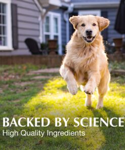 Nutramax Laboratories Crananidin Cranberry Extract Urinary Tract Health Supplement for Dogs, 75 Chewable Tablets 75 Count 23 91Y1zSatevL