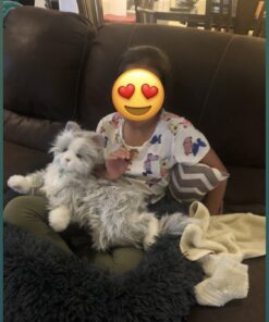 JOY FOR ALL - Silver Cat with White Mitts - Interactive Companion Pets - Realistic & Lifelike 21 91Y6SwJATxL