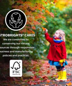 NEENAH PAPER 99608 Color Paper --Inch Bright-Inch Assortment 8 1/2 x 11 5 Colors 24lb 500 Sheets 28 91YGOiLIqrL