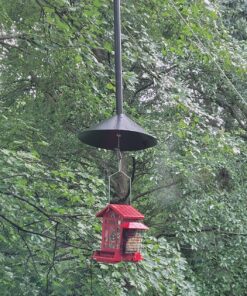 Predator Guard Squirrel Baffle - Protects Hanging Bird Feeders and Poles - Raccoon and Squirrel Proof Your Bird Feeders and Bird Houses - Anti-Rust Galvanized Steel - 17 inch 34 91YMuVXVzPL