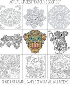 Adult Coloring Books Set - 3 for Grownups 120 Unique Animals, Scenery & Mandalas Designs. Adults Relaxation. 36 91YNVOJudQL