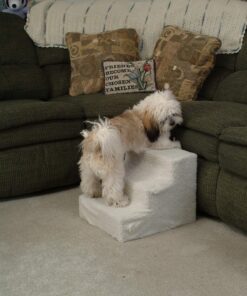 Etna Products JSNY Pet Stairs 3 Steps Stairs, Small Dog/Cat Steps White 23 91YXF7t9grL