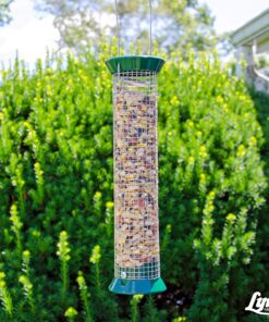 Lyric Fruit and Nut Wild Bird Seed - High Energy Wild Bird Food Mix - Attracts Woodpeckers, Chickadees & Other Songbirds - 5 lb bag 5.00 Pound (Pack of 1) 32 91YaiA8yLL