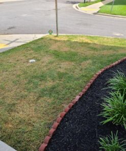 Scotts Turf Builder Starter Fertilizer for New Grass, Use When Planting Seed, 5,000 sq. ft., 15 lbs. Standard 5,000 sq. ft. 44 91Ye9FEkrL