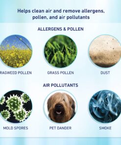 Holmes AER1 True HEPA Performance Plus Filter, HAPF300AP-U4 Performance Plus_Filter 10 91YkpvCyk0L