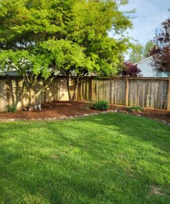 Worx String Trimmer Cordless & Edger 20V 10" - 12" Weed Trimmer PowerShare (Battery & Charger Included) WG154 28 91ZDpkn25qL