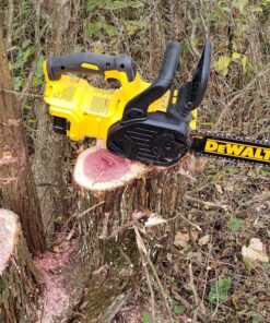 DEWALT 20V MAX* XR Chainsaw, 12-Inch, Tool Only (DCCS620B) Chainsaw Bare Tool Only 49 91ZZlLnVEBL