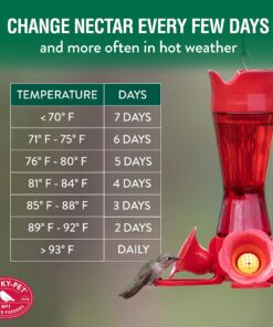 Perky-Pet Hummingbird Liquid Nectar Concentrate - 32 oz Concentrate - Makes 128 oz of Hummingbird Food Nectar Suet 32 Fl Oz (Pack of 1) 16 91ZbSq25L