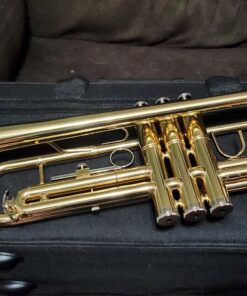 Mendini By Cecilio Bb Trumpet - Trumpets for Beginner or Advanced Student w/Case, Cloth, Oil, Gloves - Brass Musical Instruments For Kids & Adults Gold 39 91ZjoRAl9fL 2