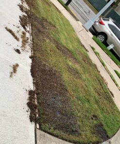 Scotts Turf Builder Grass Seed Fall Overseeding Mix, Thickens & Strengthen to Help Prevent Future Weeds, 15 lbs. 15 lb. 33 91a6j9DbPeL