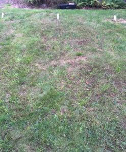 Ortho Weed B Gon Chickweed, Clover & Oxalis Killer for Lawns, 32 Oz. Ready to Spray 24 91aBSaywnbL