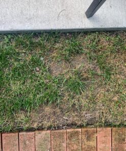 Ortho Weed B Gon Chickweed, Clover & Oxalis Killer for Lawns, 32 Oz. Ready to Spray 31 91aIA1ozsHL