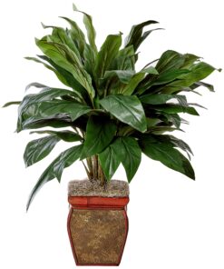 Alternative view of Nearly Natural 6688 Cordyline with Vase Decorative Silk Plant, Green,35" x 12" x 12"