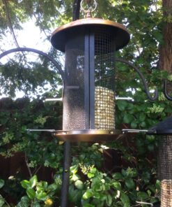 Cottage Garden 12 inch Copper Finish Heavy Duty Mesh Metal 3 Lb. Dual Nut and Seed Bird Feeder Copper Tone 14 91aKe7BBsSL