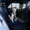 BarksBar Pet Car Seat Cover with Seat Anchors for Cars, Trucks and SUV's, Water Proof and Non-Slip Backing Regular, Black Standard