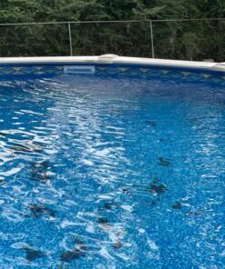 Infusion V-fitting for Inlet and Return Line, Venturi, White 21 91aqyAD0VUL