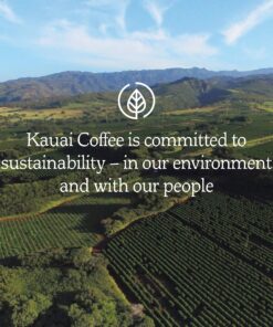 Kauai Coffee Single-Serve Pods, Na Pali Coast Dark Roast Arabica Coffee from Hawaii’s Largest Coffee Grower, Compatible with Keurig K-Cup Brewers - 12 Count 12 Count (Pack of 1) 31 91asrvyYyoL