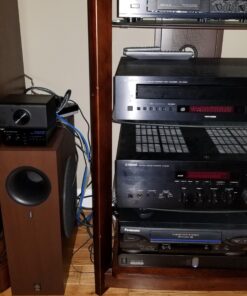 Echo Link - Stream hi-fi music to your stereo system Echo link 29 91attkbwc6L