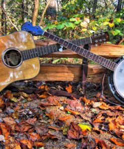 Jameson Guitars 5-String Banjo 24 Bracket with Closed Solid Back and Geared 5th Tuner Banjo only 43 91awG2icpL