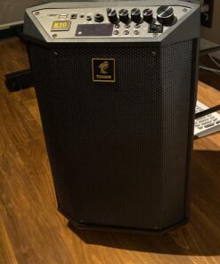 Wireless Karaoke Machine for Adults, TONOR PA System Portable Bluetooth Singing Speaker with Dual Wireless Microphones Microfono, Disco Ball for Home Karaoke, Party, Class and Church K20 Black 71 91awYHbEt8L