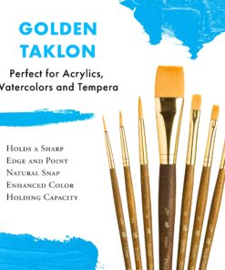 PRINCETON ARTIST BRUSH CO. Princeton Real Value, Series 9100, Paint Brush Sets for Acrylic, Oil & Watercolor Painting, Syn-Gold Taklon (Rnd 2, 4, Liner 2/0, Shader 2, 6, Angular 1/4, Wash 3/4) Gold 14 91b0QFKpShL