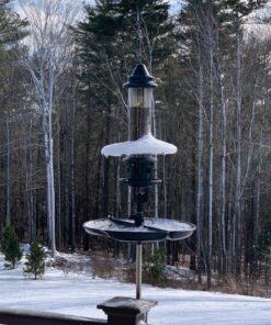 Weather Guard for Squirrel Buster Plus Bird Feeder (FEEDER NOT INCLUDED) 13" Diameter 34 91bPWHV31 L