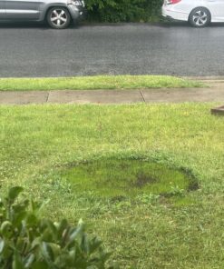 Scotts EZ Seed Patch & Repair Sun and Shade Mulch, Grass Seed, Fertilizer Combination for Bare Spots and Repair, 4 lb 3.75 lb. 1 Pack 50 91bTGzfVsaL